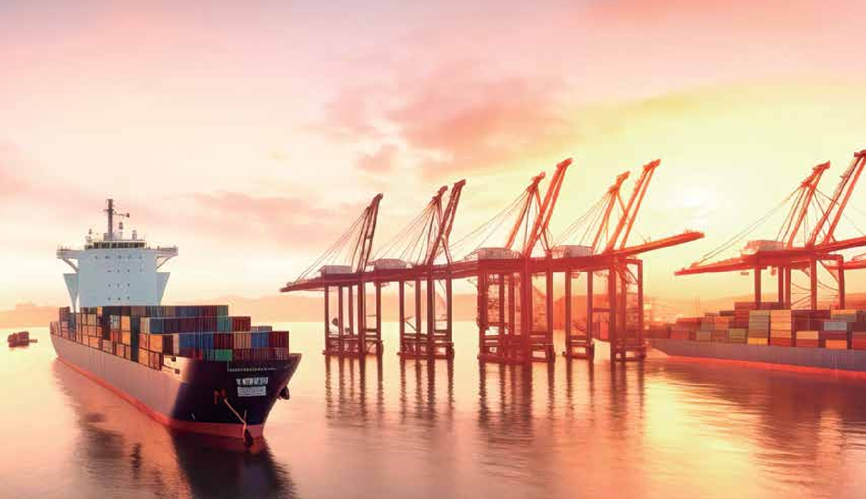 Los puertos, ruta crítica para la reindustrialización e internacionalización del país