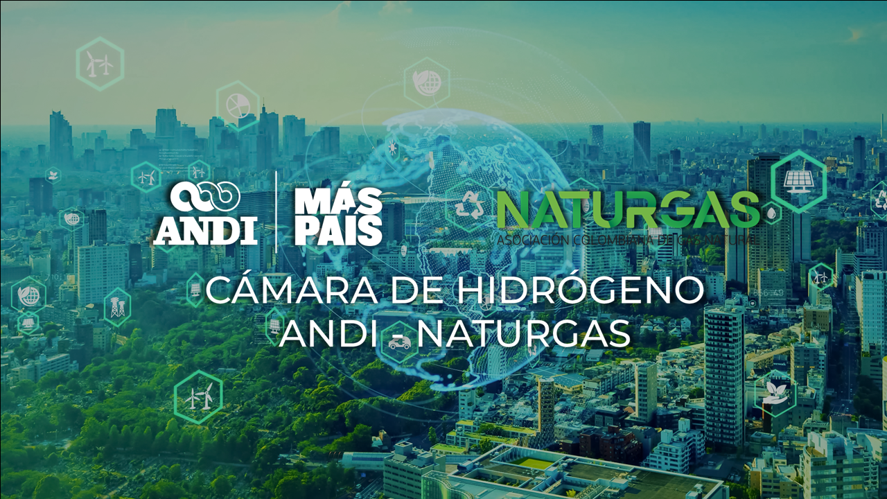 Hidrogeno ANDI Naturgas